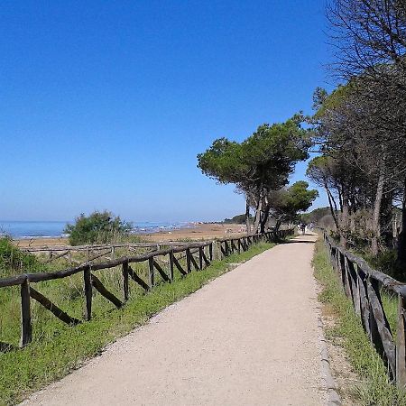 Residence Margherita Bibione Dış mekan fotoğraf