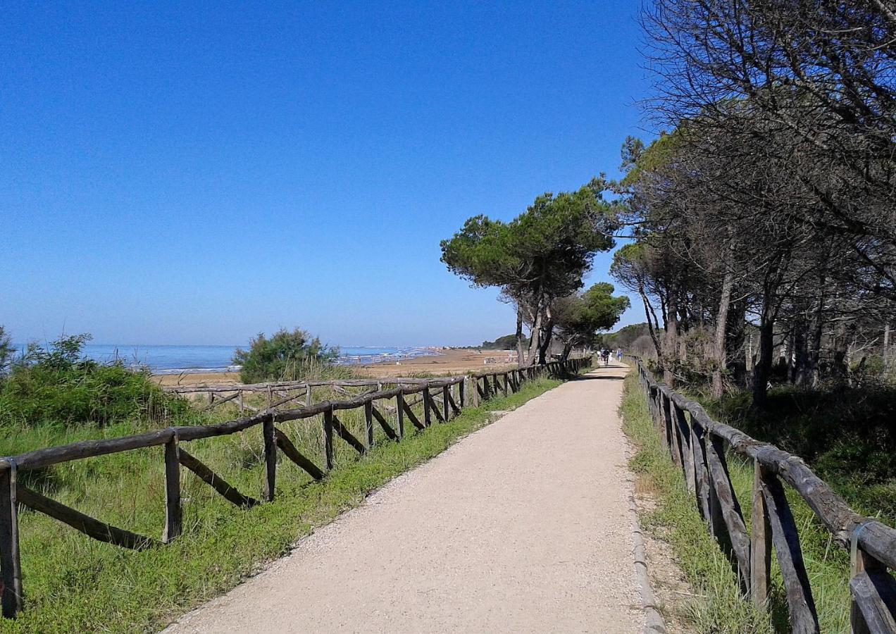 Residence Margherita Bibione Dış mekan fotoğraf