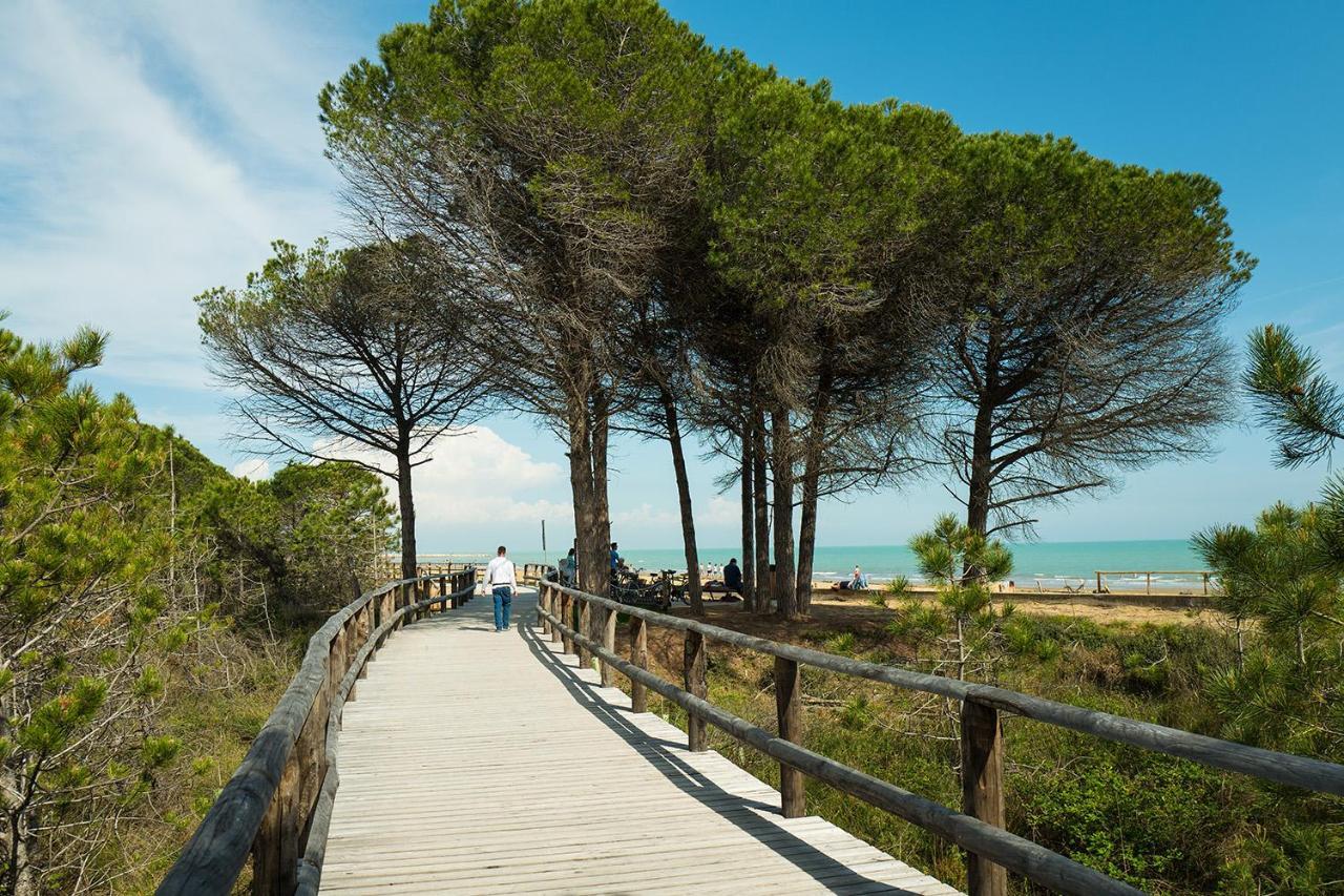 Residence Margherita Bibione Dış mekan fotoğraf